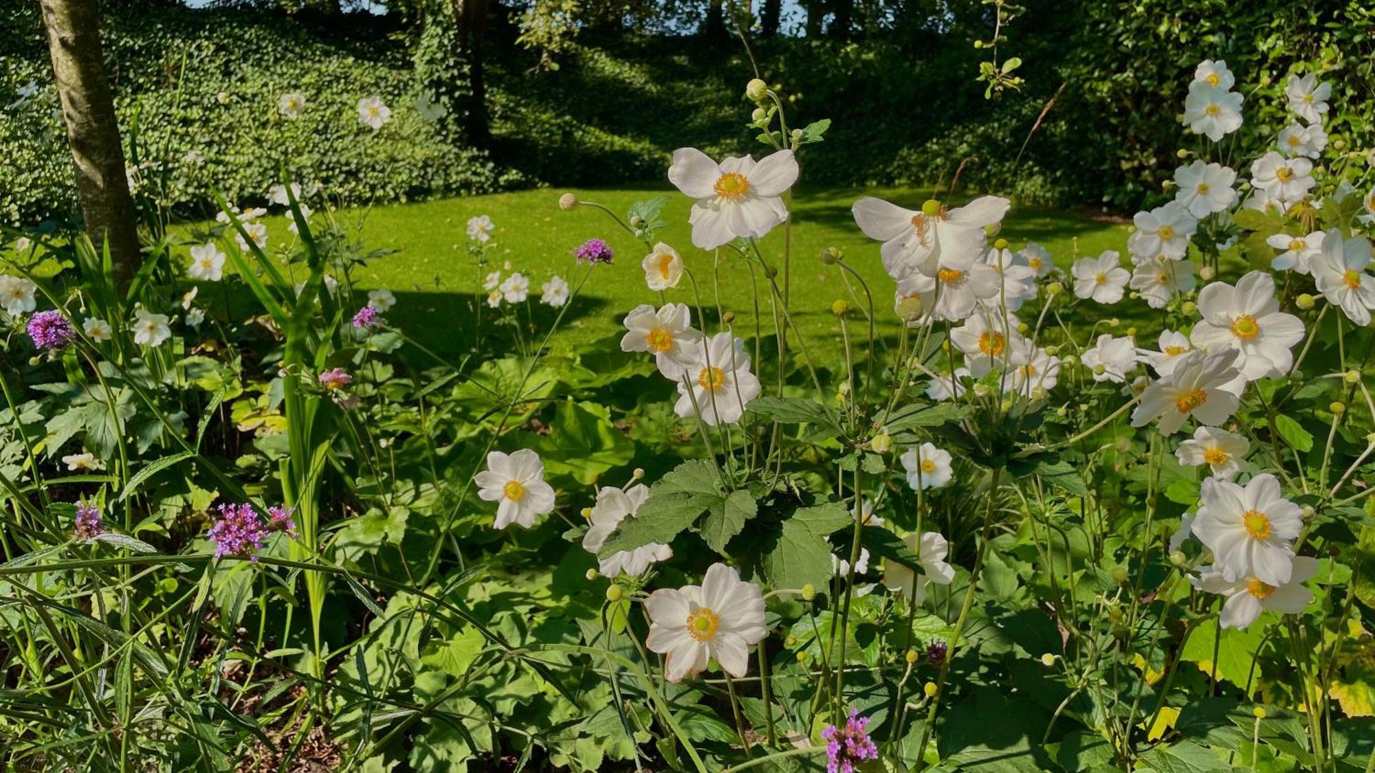 Hoeve Bij Vosselen Asten Exteriör bild