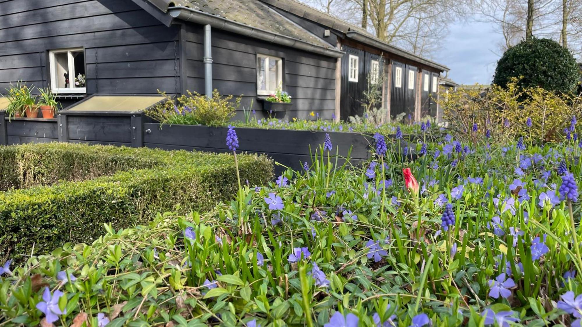 Hoeve Bij Vosselen Asten Exteriör bild