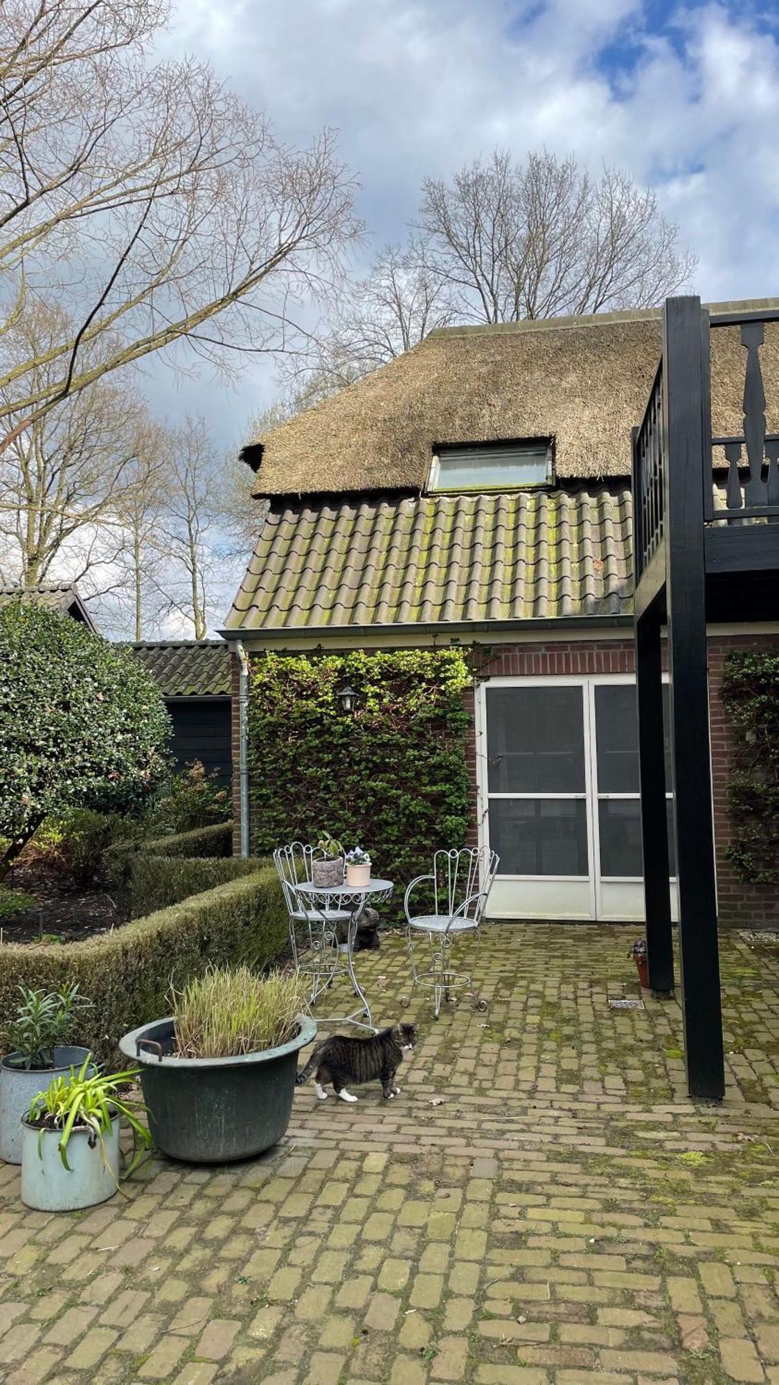 Hoeve Bij Vosselen Asten Exteriör bild